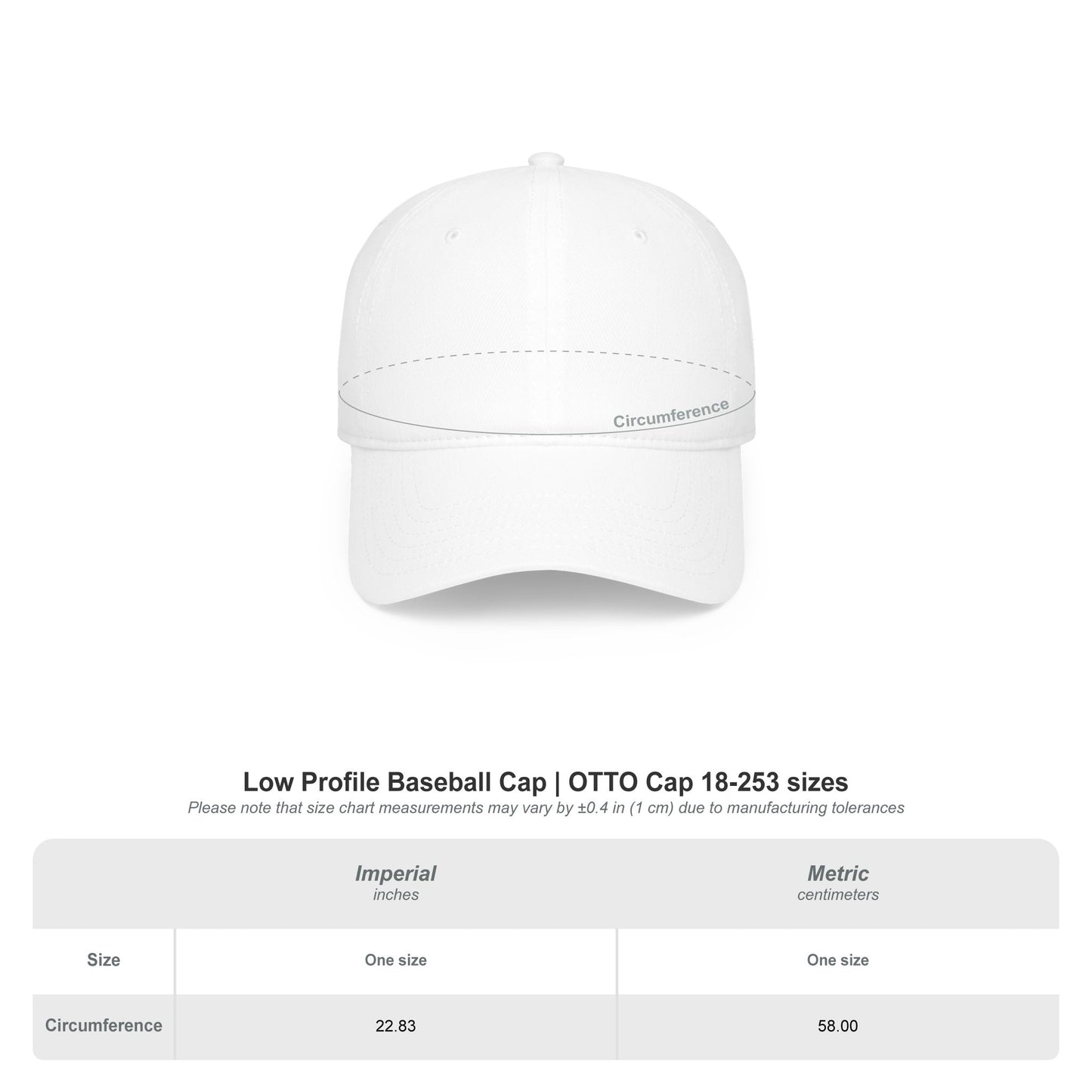 Low Profile Baseball Cap — Lincoln's Stoner Beach Band Logo Hat