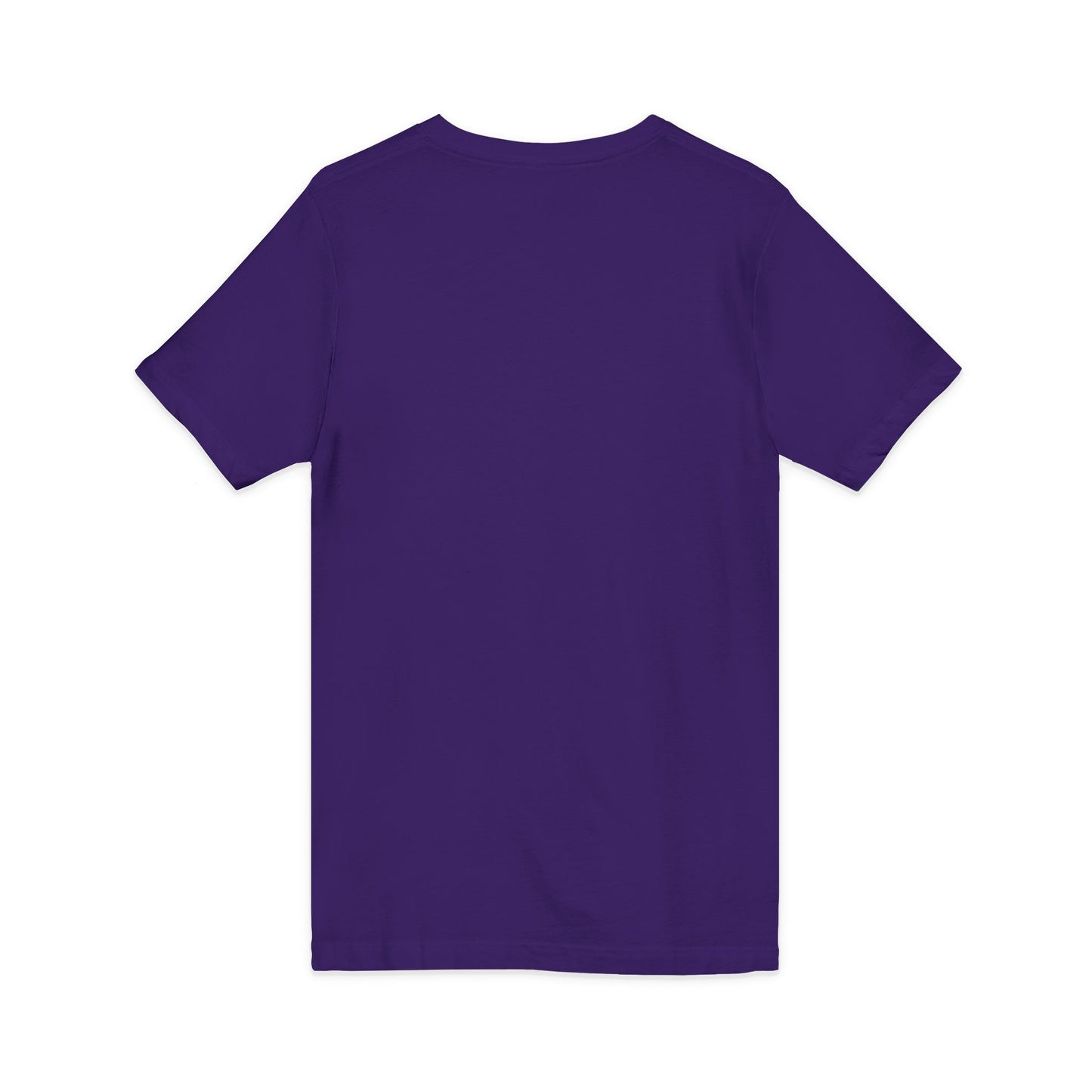 Stoner Beach Band V-Neck Tee