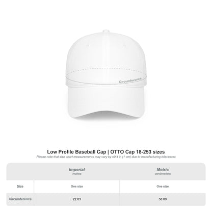 Low Profile Baseball Cap — Lincoln's Stoner Beach Band Logo Hat